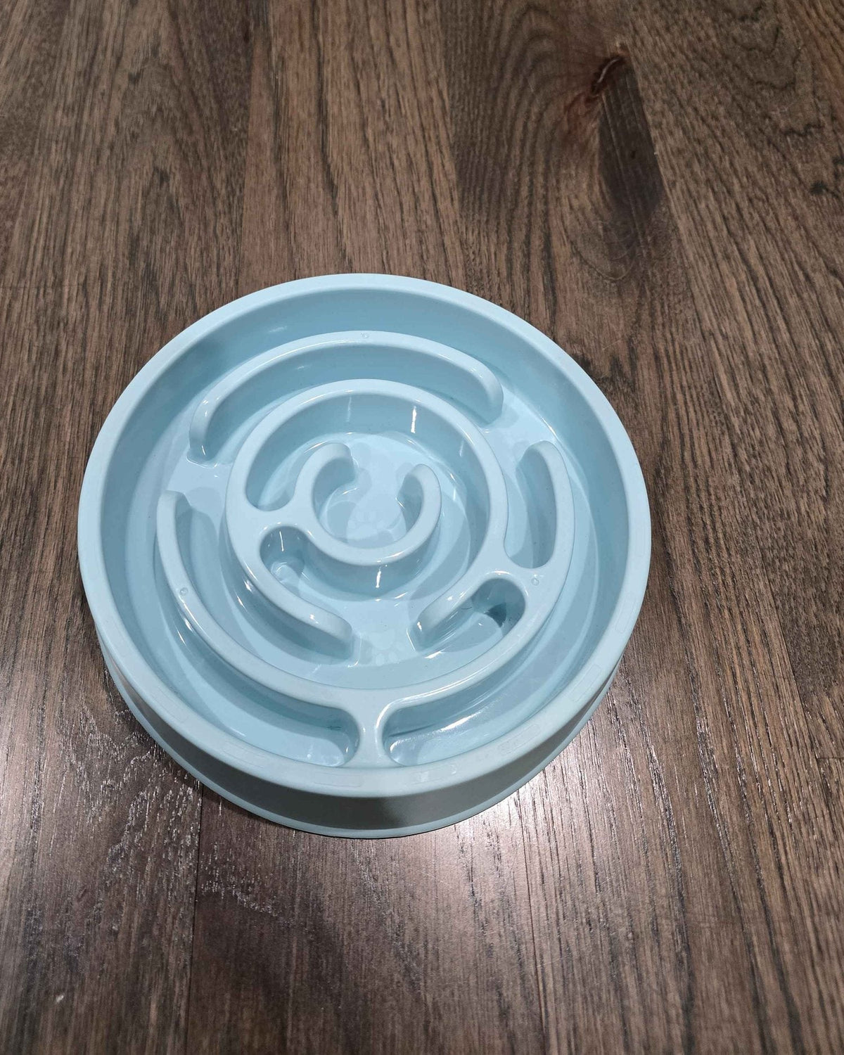 A light blue slow feeder bowl with a raised spiral maze moulded inside, sitting on a dark wood floor.